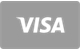 Visa betalingskort